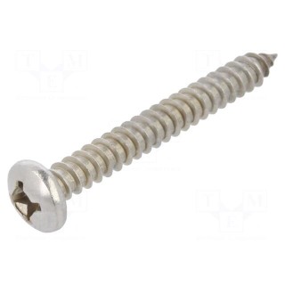 Screw | 5,5x45 | Head: cheese head | Phillips | A2 stainless steel