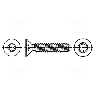 Screw | 5x12 | Head: countersunk | Torx® | TX25 | steel | zinc | DIN 7500