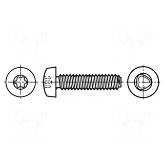 Screw | for metal | 2,5x4 | Head: button | Torx® | steel | zinc | Size: TX08