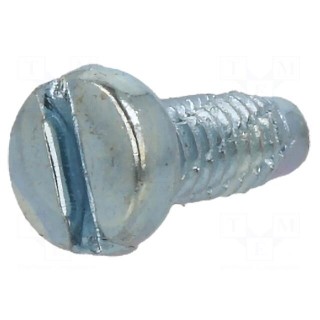 Screw | for metal | 2.5x6 | Head: cheese head | slotted | 0,6mm | zinc