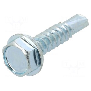 Screw | for metal | with flange | 4.8x22 | Head: hexagonal | 8mm | zinc