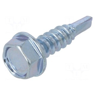 Screw | for metal | with flange | 4.2x16 | Head: hexagonal | 7mm | zinc