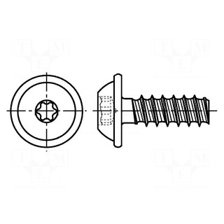 Screw | for plastic | with flange | 5x10 | Head: button | Torx® | TX20