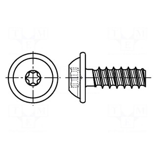 Screw | for plastic | 6x16 | Head: button | Torx® PLUS | 30IP | steel