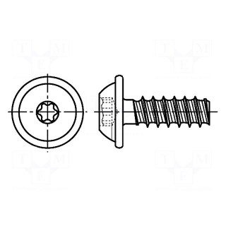 Screw | for plastic | 2x10 | Head: button | Torx® PLUS | 6IP | steel | zinc