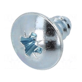 Screw | for plastic | with flange | 4.8x9.5 | Head: button | Phillips