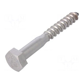 Screw | for wood | 10x80 | Head: hexagonal | none | 17mm | DIN 571 | BN 704