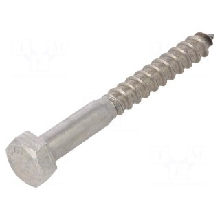 Screw | for wood | 12x100 | Head: hexagonal | none | 19mm | DIN 571