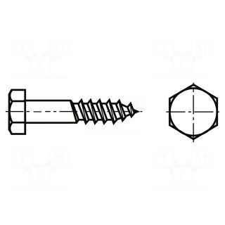 Screw | for wood | 10x60 | Head: hexagonal | none | 17mm | DIN 571 | BN 704
