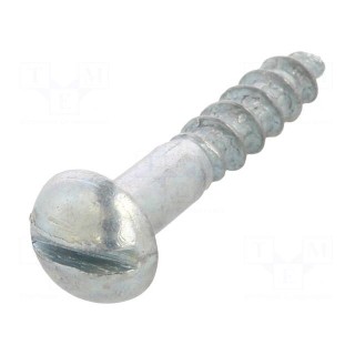 Screw | for wood | 3x16 | Head: button | slotted | 0,8mm | steel | zinc