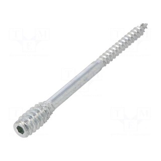 Screw | for wood | 6x100 | Head: without head | hex key | HEX 4mm | steel