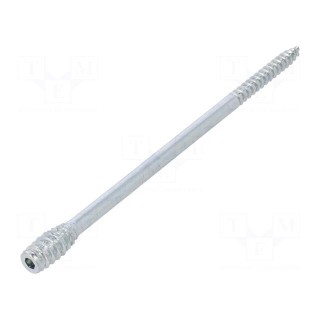 Screw | for wood | 6x150 | Head: without head | hex key | HEX 4mm | steel