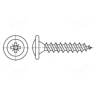 Screw | for wood,for chipboard | 3.5x30 | Head: button | Pozidriv | PZ2