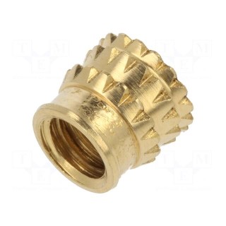 Threaded insert | brass | M5 | BN 37885 | L: 10.1mm | for plastic