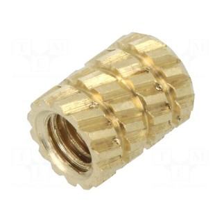 Threaded insert | brass | without coating | M2,5 | L: 5.9mm