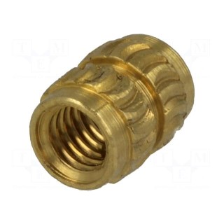 Threaded insert | brass | without coating | M3 | BN: 1934