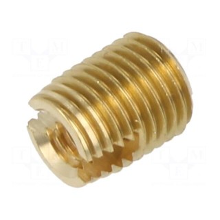Threaded insert | brass | without coating | M4 | BN 903