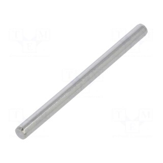 Cylindrical stud | A2 stainless steel | BN 684 | Ø: 3mm | L: 40mm
