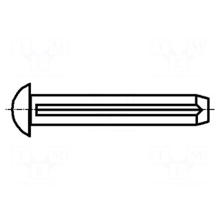 Rivet pin | steel | BN 893 | Ø: 2mm | L: 4mm | DIN 1476 | ISO 8746