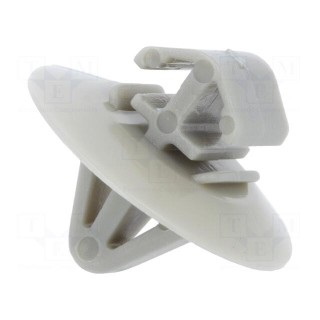 Moulding clip | 10pcs | Opel,Renault,Iveco | polyamide | natural
