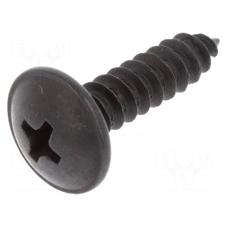 Screw | 100pcs | 19mm | steel | black | Thread: 4,8 | 4,8x19