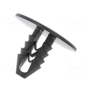 Trim clip | 10pcs | Fiat | OEM: 82450771 | L: 19.1mm | polyamide | black