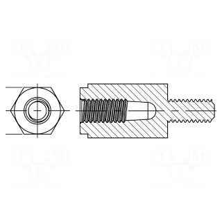 Spacer sleeve | hexagonal | polyamide 66 | M3 | M3 | L: 30mm | natural