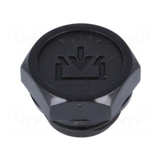 Fill plug | diameter 2 mm side breather hole | Thread: G 1/2"