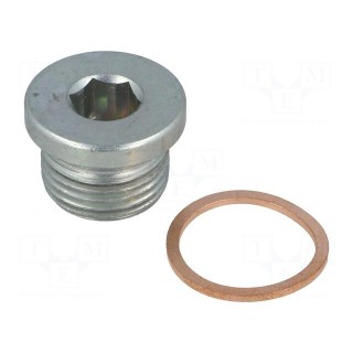 Hexagon head screw plug | Thread: G 1/2" | DIN 908 | Gasket: copper