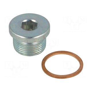 Hexagon head screw plug | Thread: M22 | Pitch: 1.5 | DIN 908