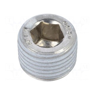 Hexagon head screw plug | with micro encapsulation | DIN: 906