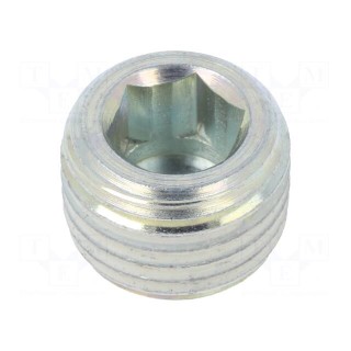 Hexagon head screw plug | with micro encapsulation | Mat: steel