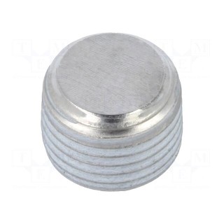 Hexagon head screw plug | with micro encapsulation | DIN: 906