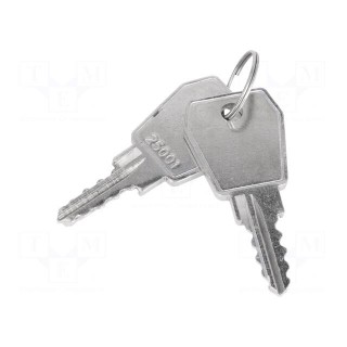 Key | Key code: 25001 | Z-2106-25001-22