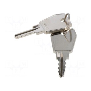 Key | Z-2106-25001-22 | 2pcs.