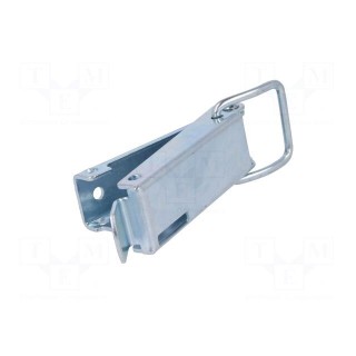 Clasp | steel | W: 43mm | L: 193.5mm | 2000N | with padlock hole