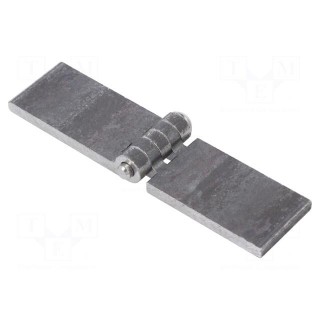 Hinge | Width: 120mm | steel | H: 30mm | without coating,for welding