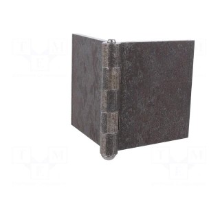 Hinge | Width: 200mm | steel | H: 100mm | without coating,for welding