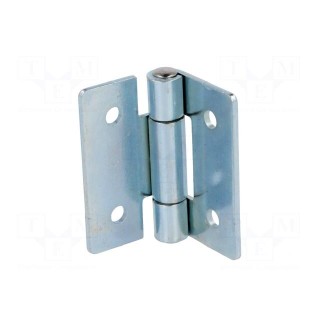 Hinge | Width: 50mm | zinc-plated steel | H: 50mm