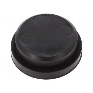 25mm | plugs | Mat: elastomer | Seal Plug DS | black | -20÷80°C | IP54