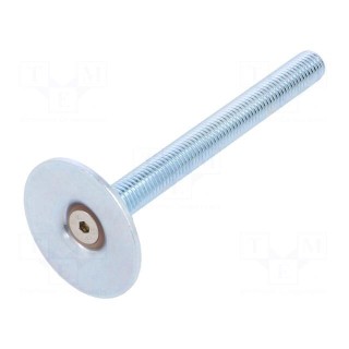 Foot of pin | Base dia: 40mm | M10 | steel | Plunger length: 100mm