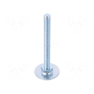 Foot of pin | Base dia: 40mm | M10 | steel | Plunger length: 100mm