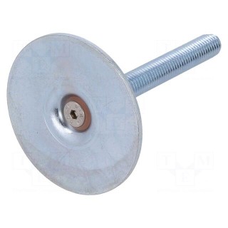 Foot of pin | Base dia: 60mm | M10 | steel | Plunger length: 80mm