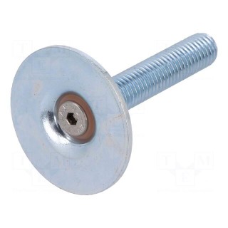 Foot of pin | Base dia: 40mm | M10 | steel | Plunger length: 50mm
