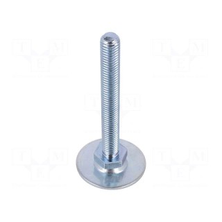 Foot of pin | Base dia: 40mm | M10 | steel | Plunger length: 80mm