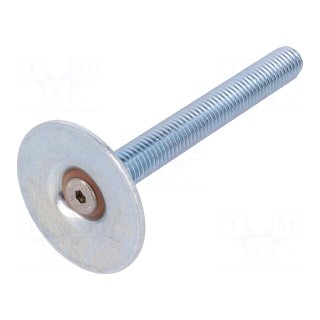 Foot of pin | Base dia: 40mm | M10 | steel | Plunger length: 80mm