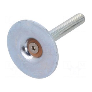 Foot of pin | Base dia: 40mm | M8 | steel | Plunger length: 50mm