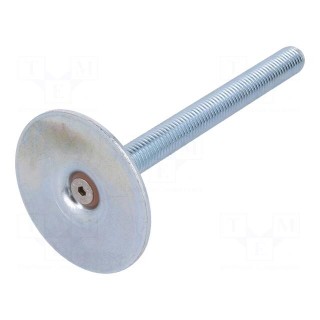 Foot of pin | Base dia: 60mm | M12 | steel | Plunger length: 125mm