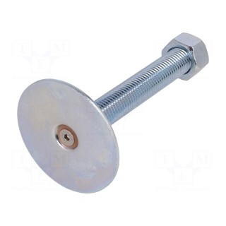 Foot of pin | Base dia: 80mm | M20 | steel | Plunger length: 125mm