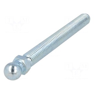 Pin | M12 | Plunger mat: steel | Ø: 14mm | Plating: zinc